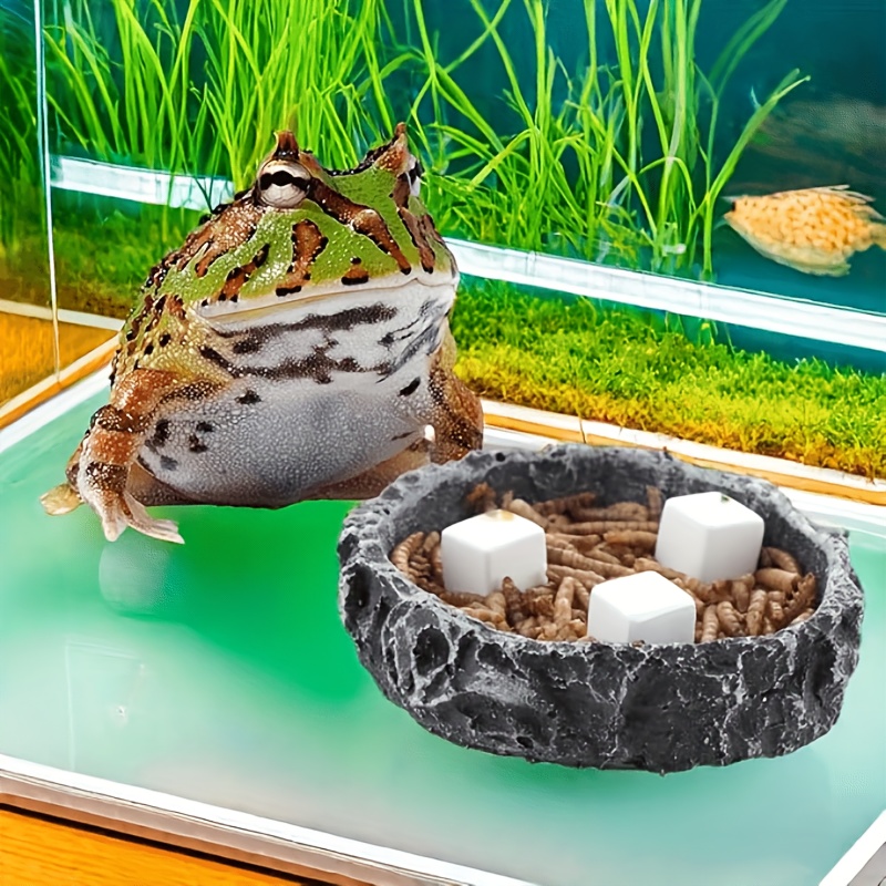 6Pcs For Reptile Grinding Tort - огляд і ціна Calcium Powder Reptile