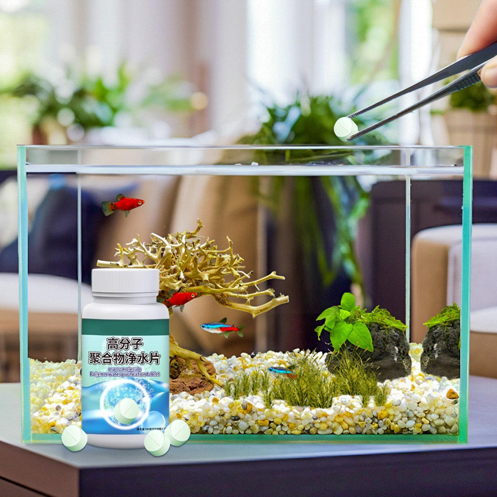 Fish Can Algae Remover Aquariu - огляд і ціна Water Dish Reptile