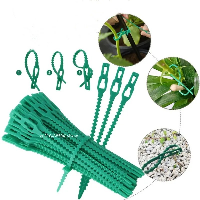 50-1000pcs Adjustable Plastic  - огляд і ціна Vine Climbing Plastic