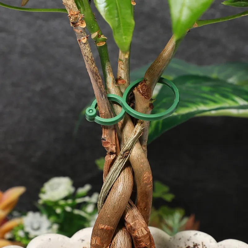 50-400Pcs Plant Support Clips  - огляд і ціна Vine Climbing Plastic