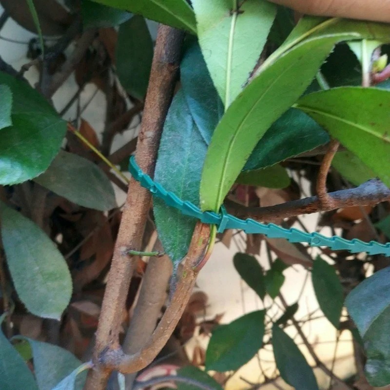 50pcs Adjustable Plastic Plant - огляд і ціна Vine Climbing Plastic
