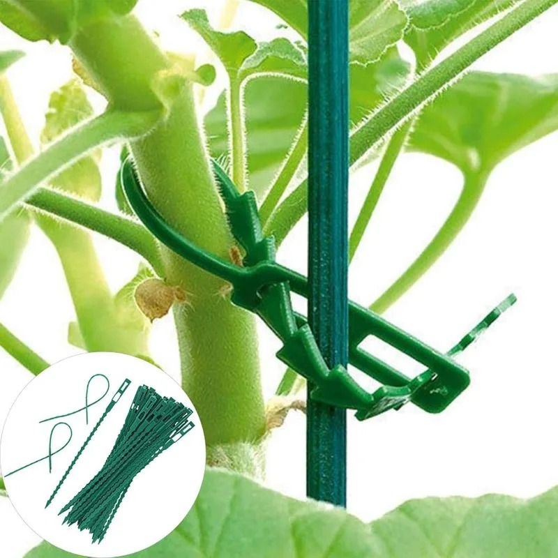 Wholesale Reusable Plant Fixed - огляд і ціна Vine Climbing Plastic