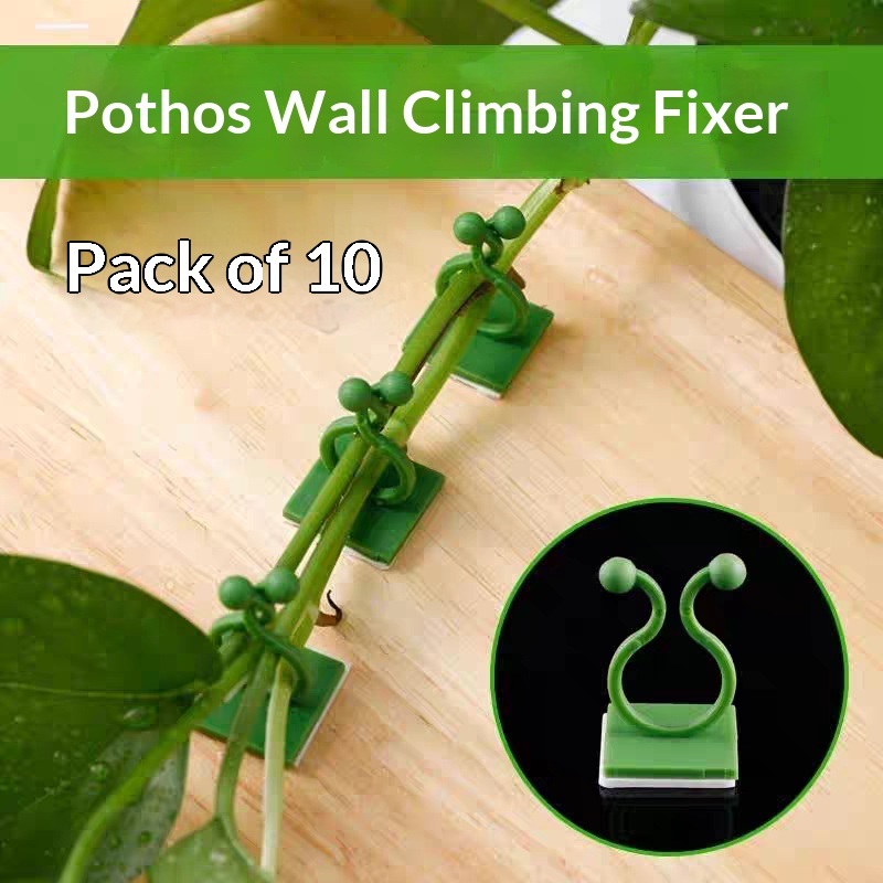 Self‑Adhesive Plant Climbing W - огляд і ціна Vine Climbing Plastic