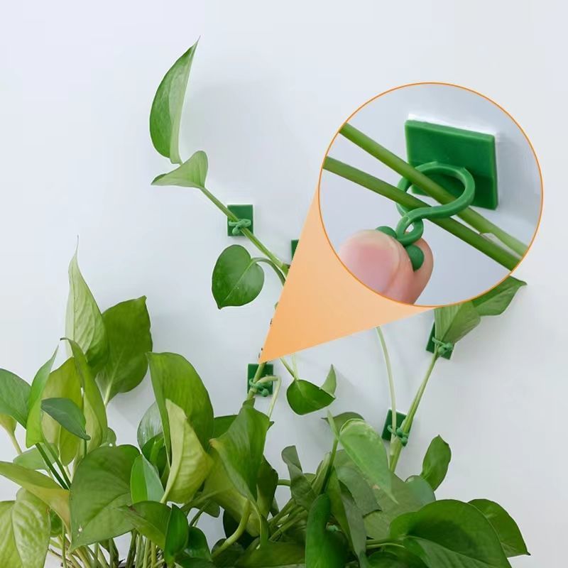 Self‑Adhesive Plant Climbing W - огляд і ціна Vine Climbing Plastic