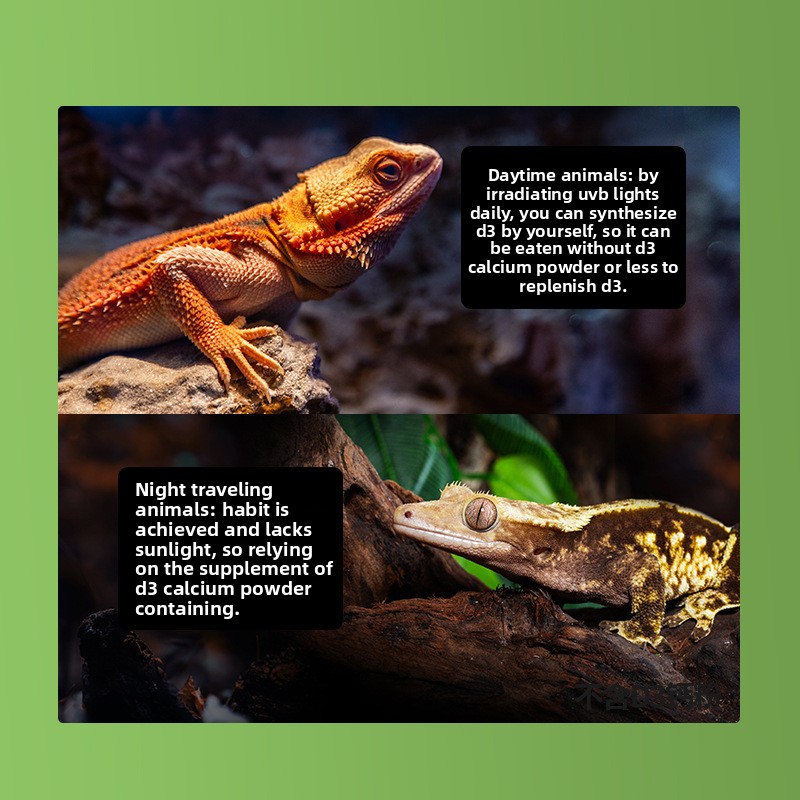 Reptizoo Reptile Calcium Powde - огляд і ціна Calcium Powder Reptile
