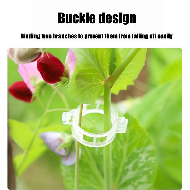500Pcs Plastic Plant Support C - огляд і ціна Vine Climbing Plastic
