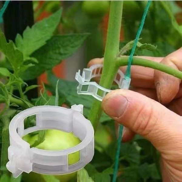 500Pcs Plastic Plant Support C - огляд і ціна Vine Climbing Plastic