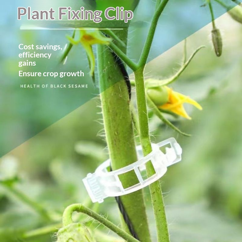 Plastic Plant Support Clips Re - огляд і ціна Vine Climbing Plastic