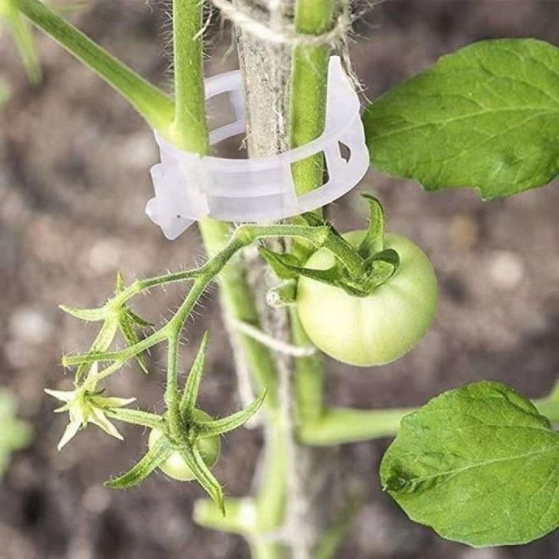 Plastic Plant Support Clips Re - огляд і ціна Vine Climbing Plastic