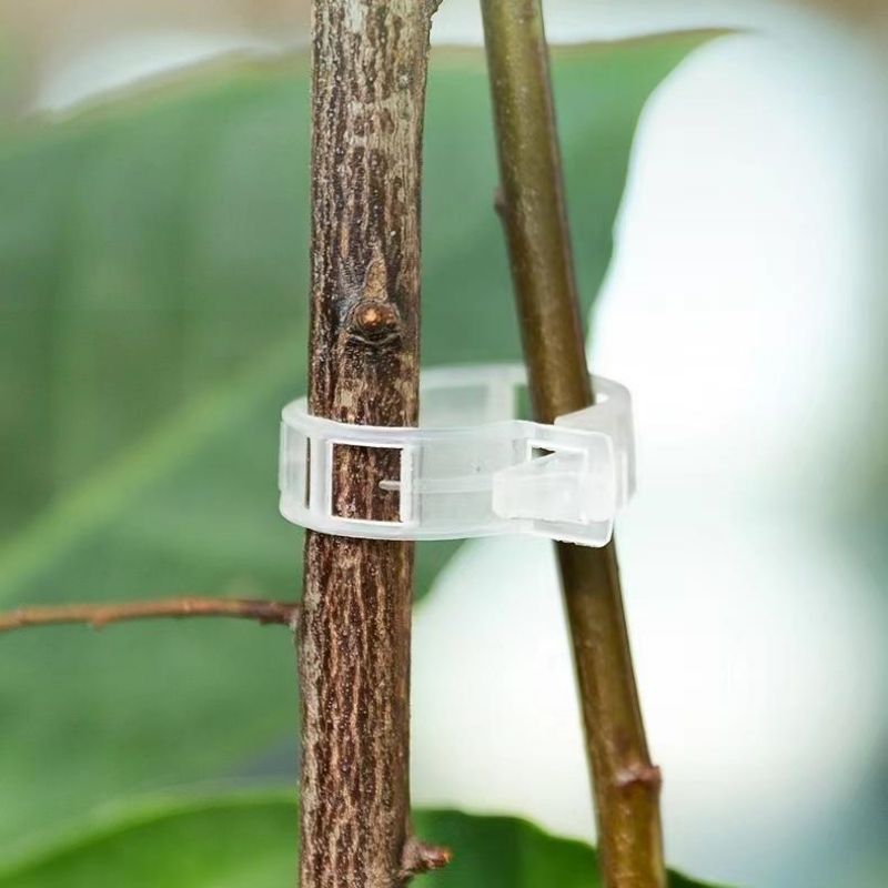 Plastic Plant Support Clips Re - огляд і ціна Vine Climbing Plastic